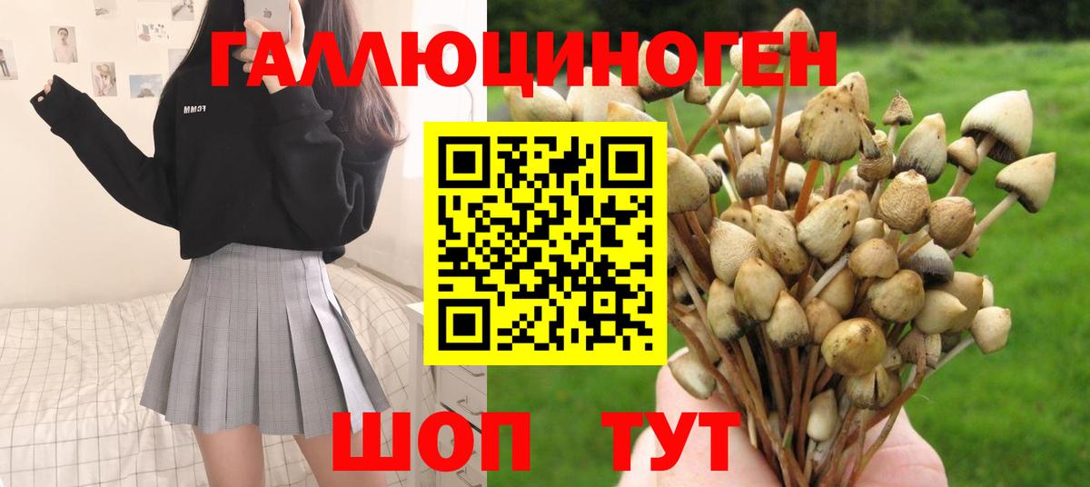 Волжский  дарнет шоп  Вход с VPN  Псилоцибиновые грибы GOLDEN TEACHER  Галлюциногенные грибы GOLDEN TEACHER 