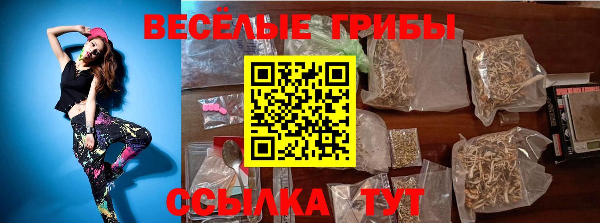 Псилоцибиновые грибы Cubensis Волжский